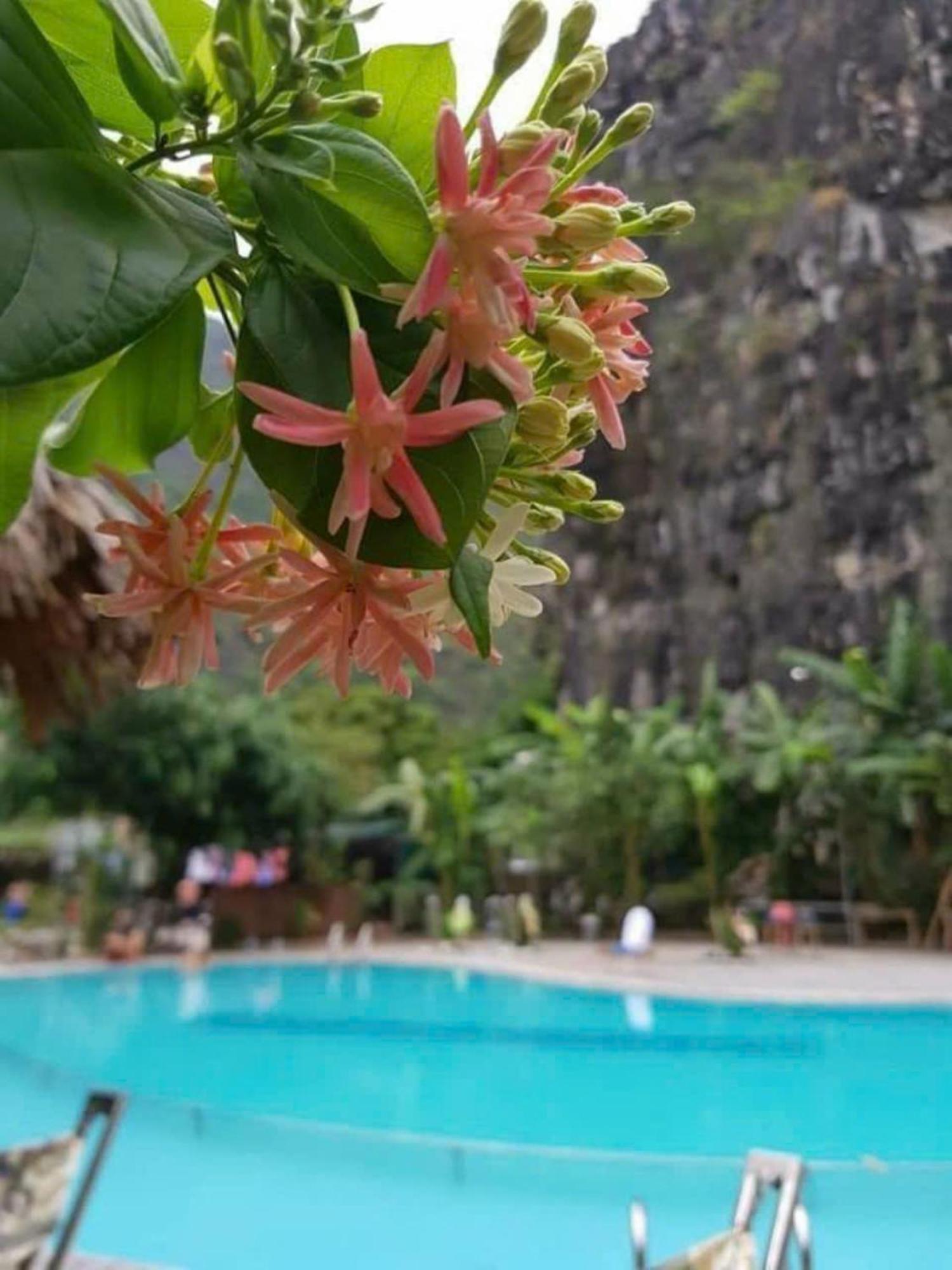 Hoalu Backpacker Homestay Ninh Bình Exteriör bild