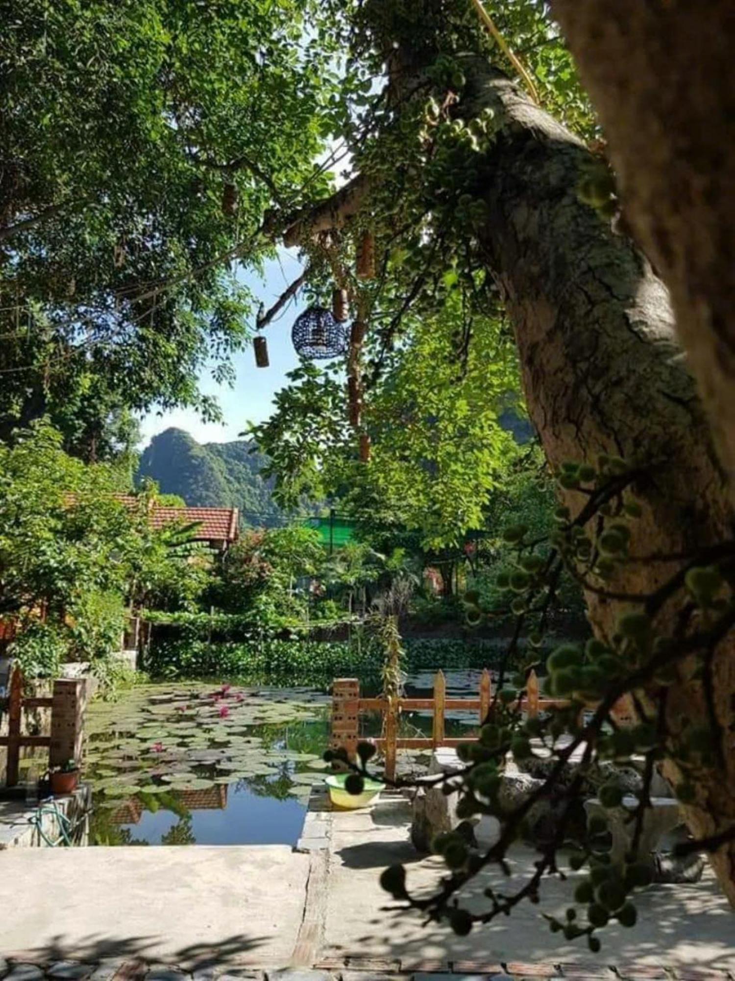 Hoalu Backpacker Homestay Ninh Bình Exteriör bild