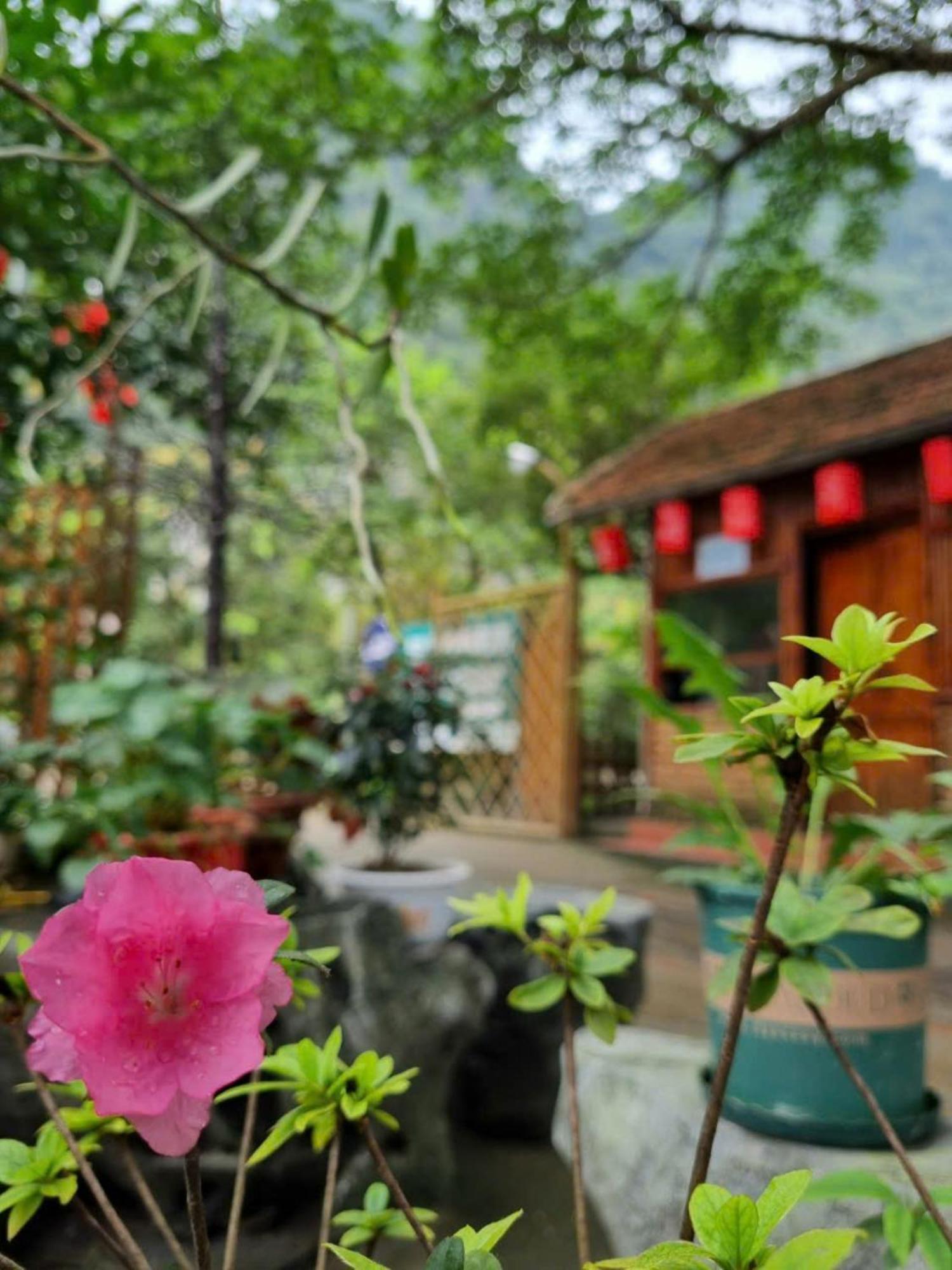 Hoalu Backpacker Homestay Ninh Bình Exteriör bild