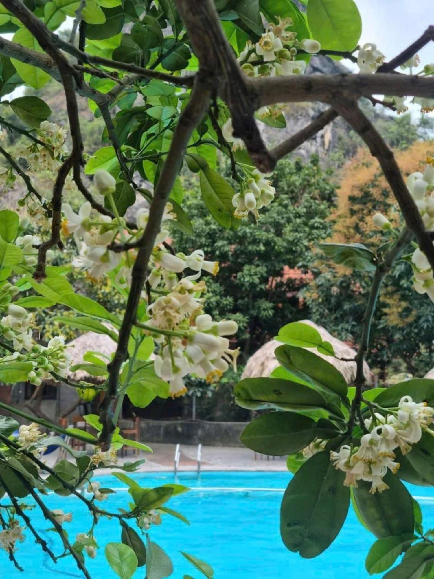 Hoalu Backpacker Homestay Ninh Bình Exteriör bild